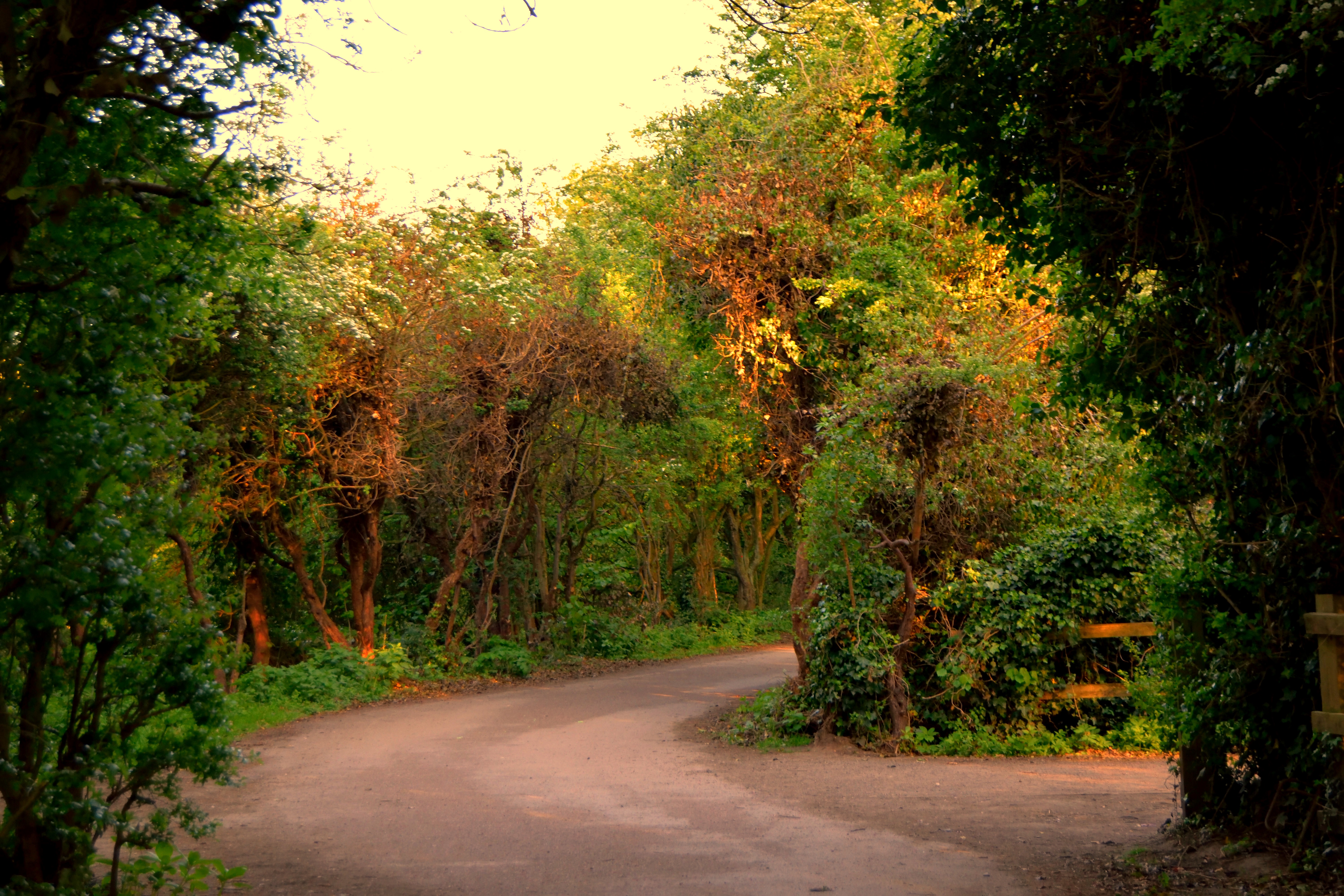 Places